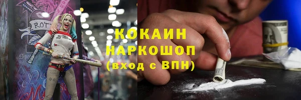 дурь Алексин